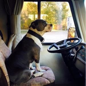 Meet your Posher, Mark